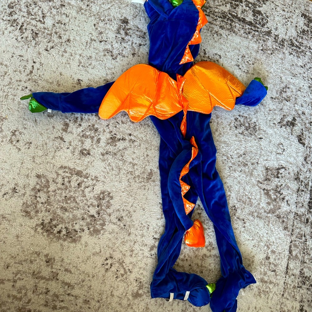 Kids Dragon costume